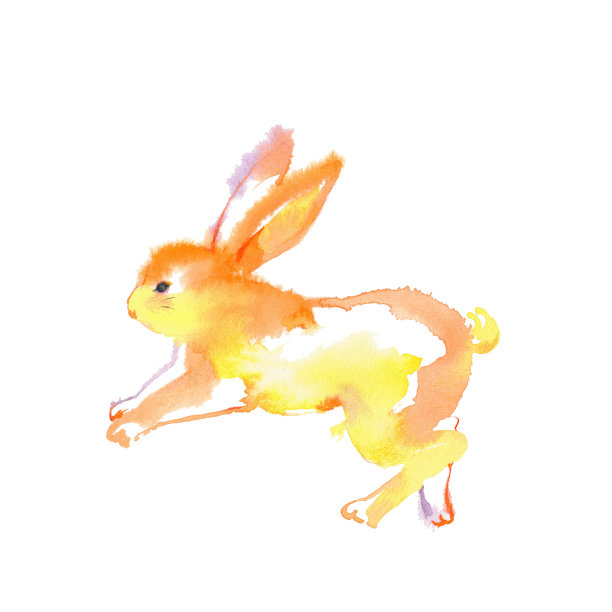 橙色的兔子图片下载