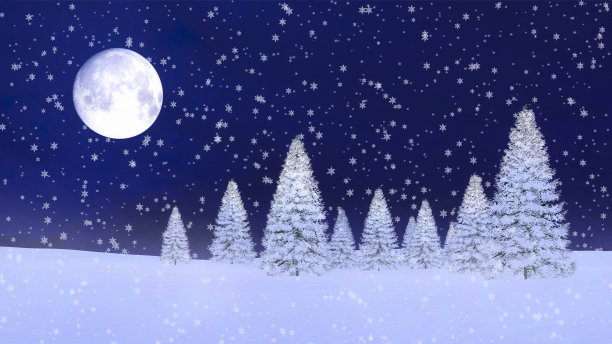 冬天的冷杉林和大雪夜巨大的满月图片下载