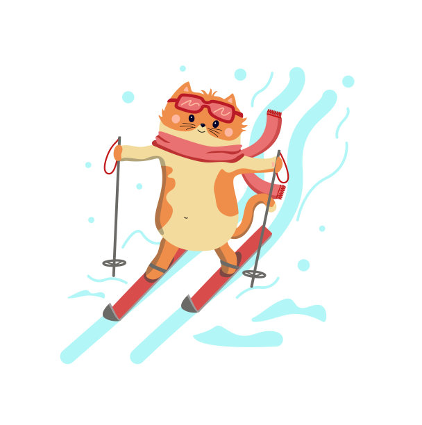 小猫在滑雪。图片下载