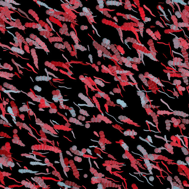 抽象的圆形笔触，黑色背景上的红色和蓝色。无缝模式。图片下载