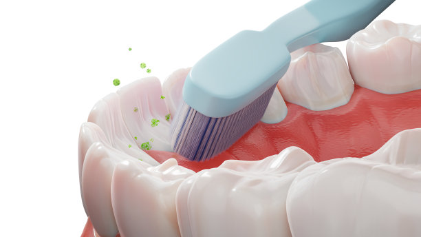 人类牙齿和牙刷，正确的牙齿清洁技术，3d渲染。牙科护理，白色背景隔离的医学3d插图图片下载