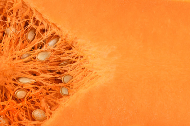 背景是成熟的切块冬南瓜图片下载