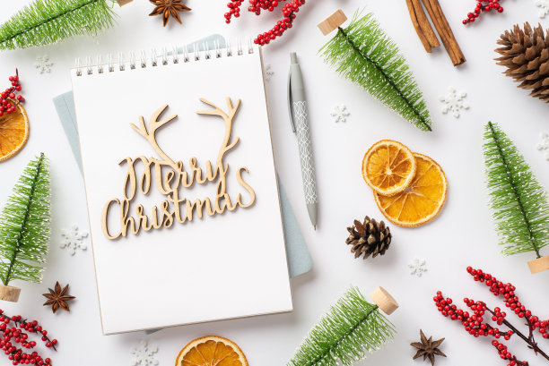 寒假的概念。俯视图照片圣诞快乐木制文本笔记本钢笔槲寄生浆果冷杉松果肉桂棒干橙片和雪花在孤立的白色背景图片下载