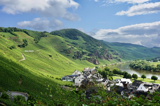 从船上运来的葡萄酒。莫泽尔河(Mosel river)的山坡上，白色雷司令(Riesling)葡萄的绿色田地。摩塞尔河上的游船。摩塞尔河和山坡上的葡萄酒田。图片下载