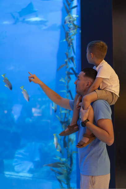 爸爸和儿子在水族馆共度时光，儿子坐在爸爸的背上探索水下世界图片下载