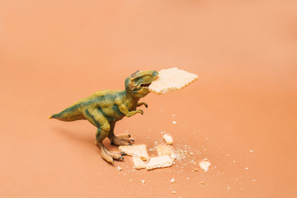 嘴里叼着饼干的霸王龙。棕色背景上的碎饼干。图片下载