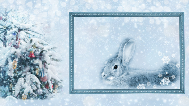 雪覆盖的圣诞树旁，画框外的兔子，中国新年兔年，留白图片下载