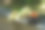 一杯茶和一束洋甘菊花和野花放在花园的木桌上，模糊的背景，柔和的焦点图片下载
