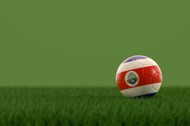 草地上有哥斯达黎加国旗的足球图片下载