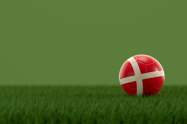 草地上插着丹麦国旗的足球图片下载
