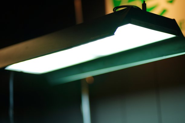 水族馆日光照明图片下载