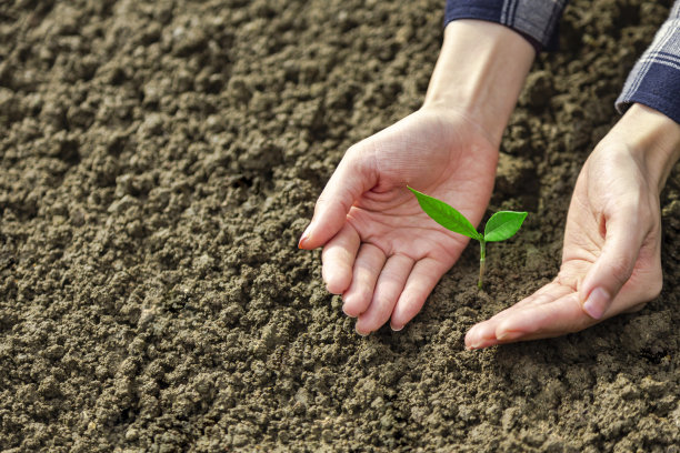 经营成长理念:手养小厂图片下载