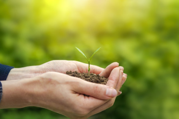 手捧肥沃的土壤，让植物在大自然中生长图片下载