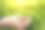 手捧肥沃的土壤，让植物在大自然中生长图片下载