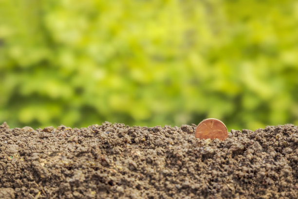 硬币与植物顶部放在绿色自然背景的土壤上，为商业增长的概念图片下载