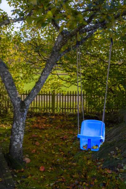 摇摆不定的图片下载