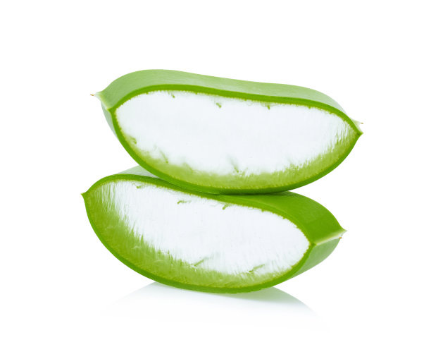 芦荟新鲜的叶子孤立在白色背景图片下载