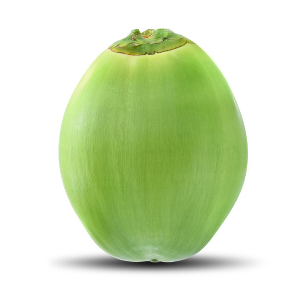 绿色的椰子孤立在白色的背景图片下载