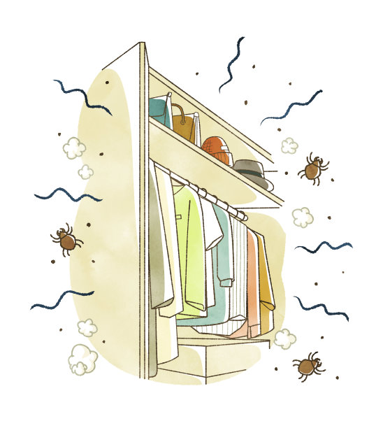 衣柜里的衣服是螨虫滋生的地方图片下载