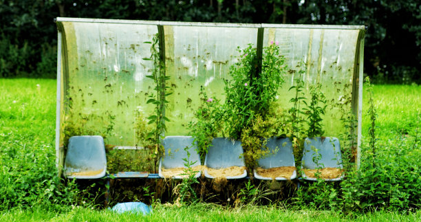 一个长满杂草的旧的废弃公交车站的照片图片下载