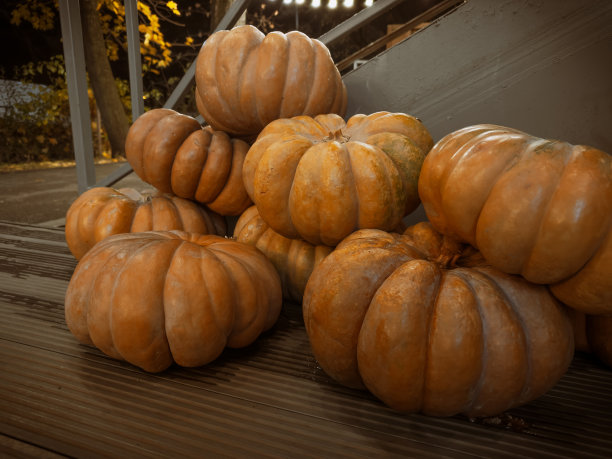 各种各样的橙色南瓜堆叠。万圣节，感恩节和秋季季节性节日概念背景晚上选择性焦点照片。图片下载