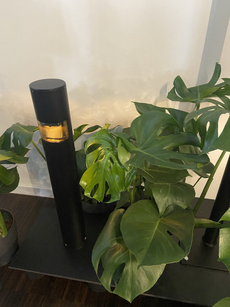 带缆桩图片下载