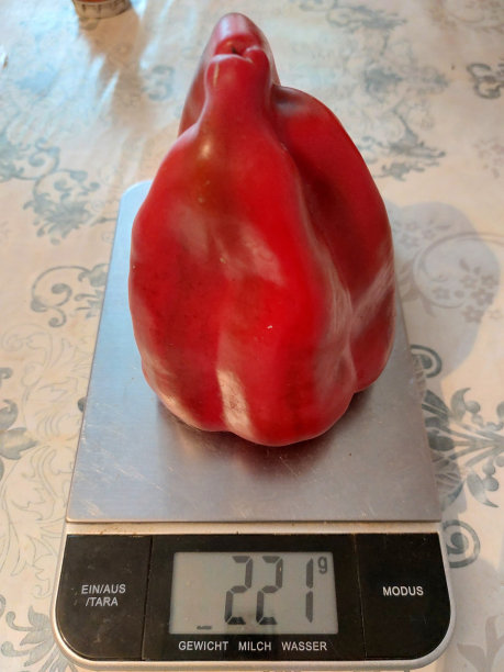 红色的甜辣椒在鳞片上图片下载