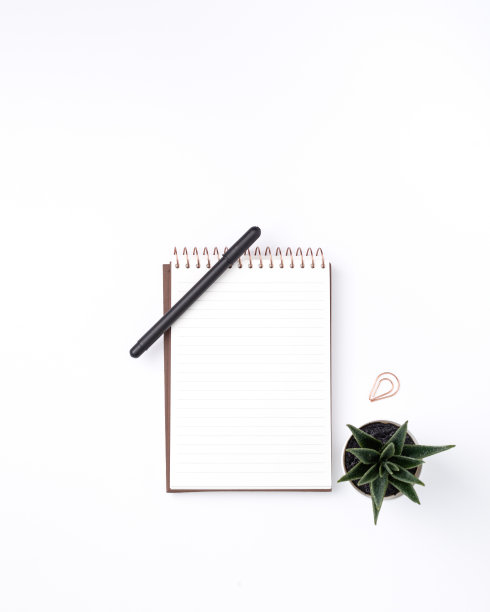 一支笔，一个笔记本和白色背景上的一株小植物的孤立镜头图片下载