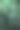 特写镜头的绿叶覆盖露珠-伟大的天然墙纸图片下载
