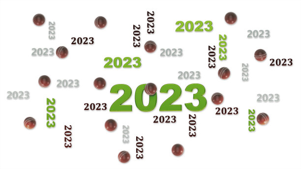 几个板球2023的顶部视图设计与一些球在白色图片下载