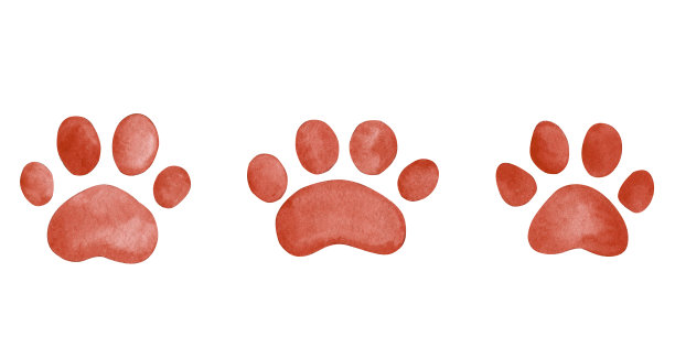 水彩棕色步骤印刷集孤立的白色图片下载