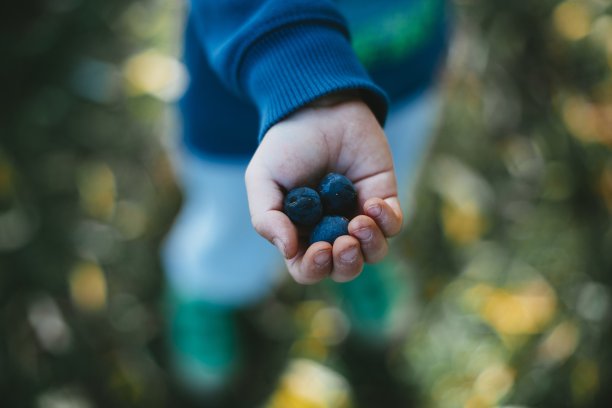 一个人拿着水果的手的选择性聚焦镜头，背景模糊图片下载