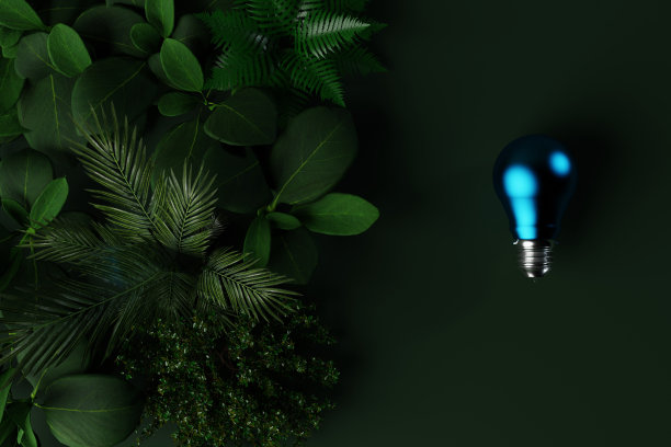 绿色背景上的绿色植物和蓝色灯泡。图片下载