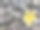 从树上掉下来的黄色鸡蛋花的照片图片下载