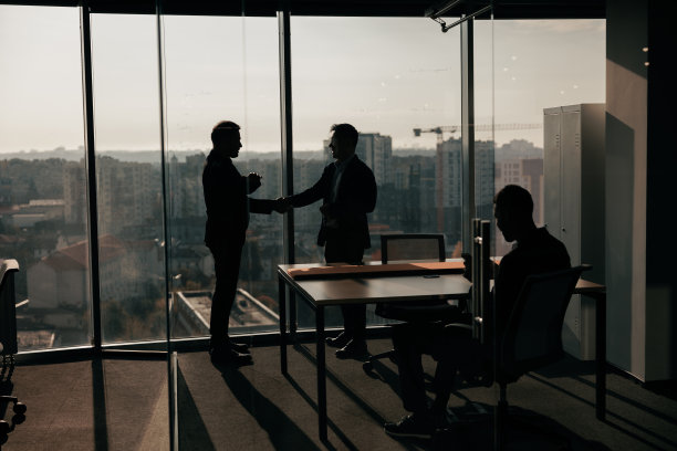 商务男性合伙人握手。照片握手过程。会面后成功达成交易图片下载