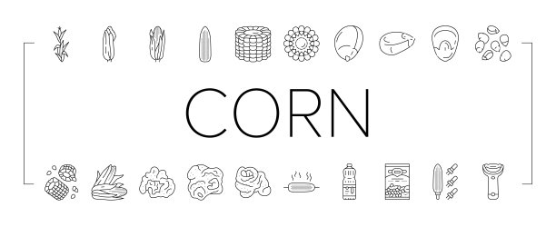 玉米玉米绿，穗轴甜图标集矢图片下载