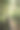 森林中被绿色植物环绕的木制小路的垂直镜头图片下载