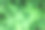 美丽的自然绿叶植物背景或墙纸-完美的自然相关的文章/帖子图片下载