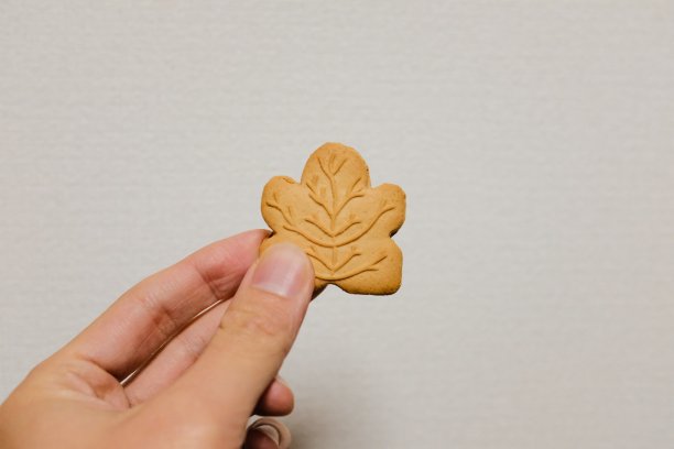 一个人拿着白色背景的叶子形状的饼干的特写镜头图片下载