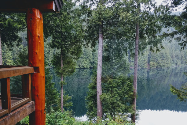 木制阳台靠近树木和水的美丽照片图片下载