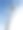 在多云的天空下，小鸟飞过棕榈树的低角度镜头图片下载
