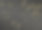 一套金色设计标签。单色调设计。大米和小麦。图片下载