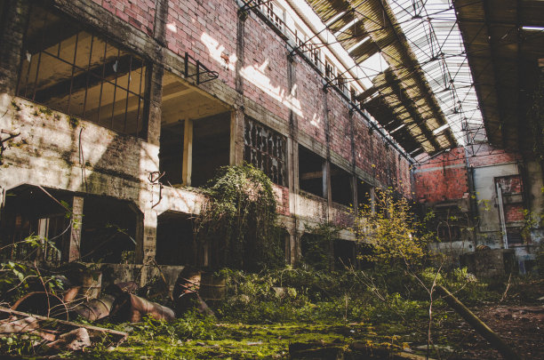 一个废弃的砖房附近，被砍倒的树木和地上的油桶图片下载