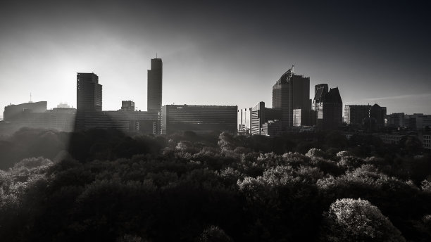 高层建筑的水平灰度镜头，在傍晚的天空下有很多绿色的树图片下载