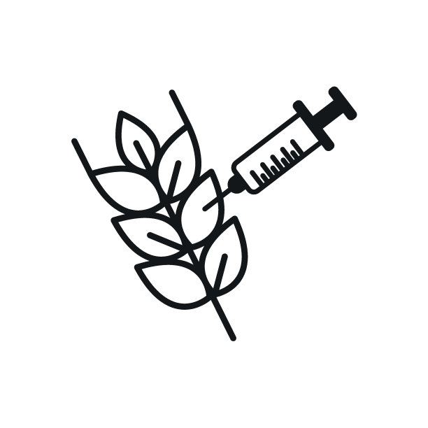 遗传学和生物工程概念和小麦图标。转基因小麦。图片下载