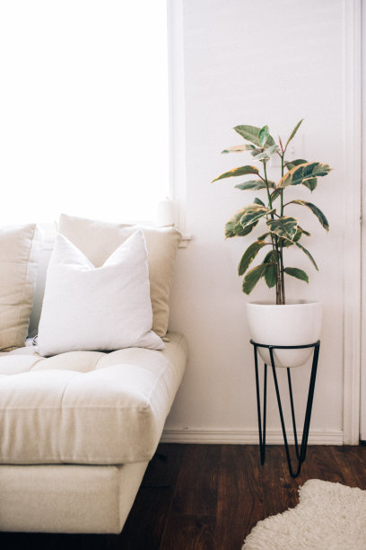 垂直拍摄的现代住宅内部与植物在白色花盆旁边的床图片下载