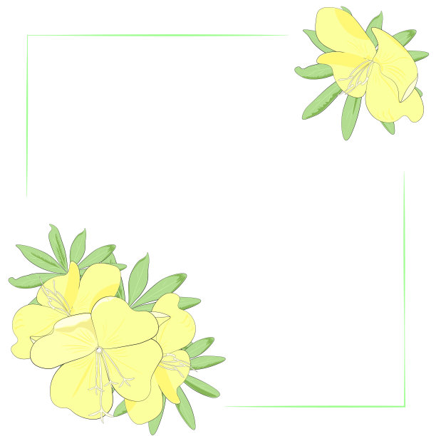 用黄色的花和叶子图片下载