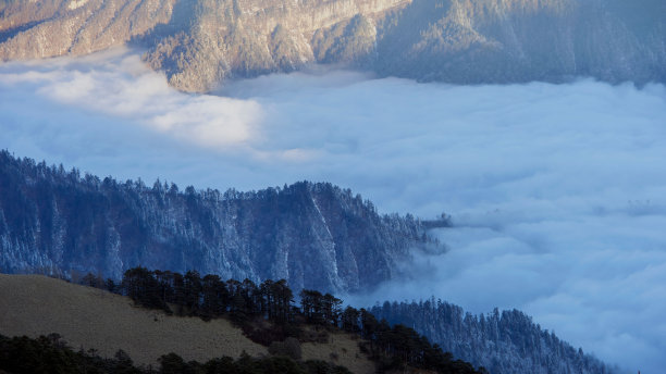 云雾之上森林覆盖的山峰的美丽照片图片下载