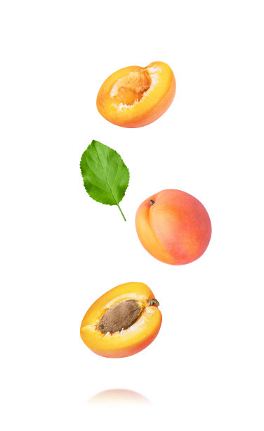 白色背景上孤立的杏子。图片下载