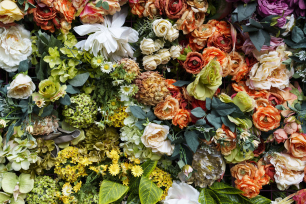 花墙背景惊人的红色，橙色，粉色，紫色，绿色和白色的花图片下载